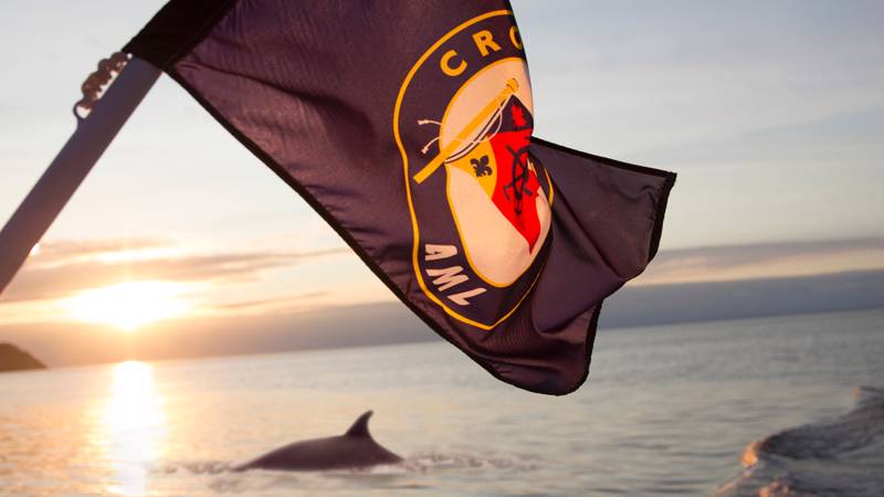 Baleine au coucher de soleil