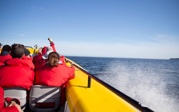 Passagers durant la croisière en zodiac