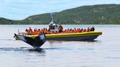 Excursion en zodiac