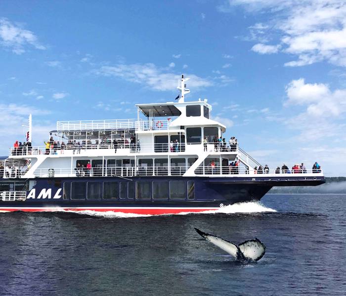 AML Grand Fleuve durant la croisière aux baleines
