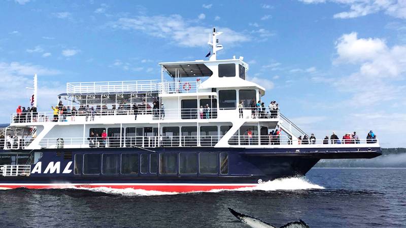 AML Grand Fleuve durant la croisière aux baleines