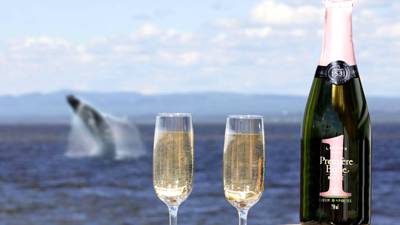 V.I.P. Bouteille de champagne et baleine