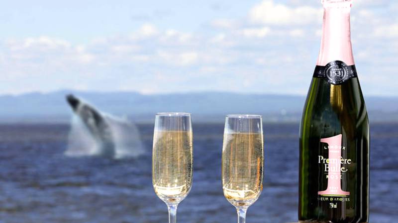V.I.P. Bouteille de champagne et baleine