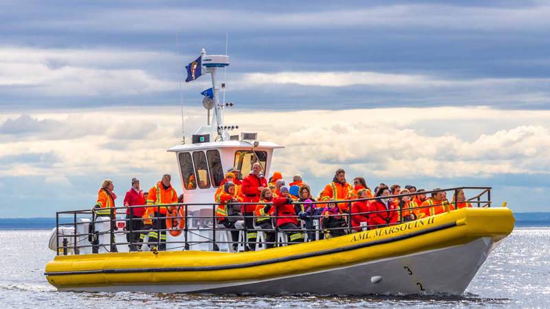 Zodiac 24 passagers