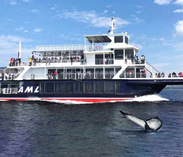 AML Grand Fleuve et queue de baleine qui sort de l'eau