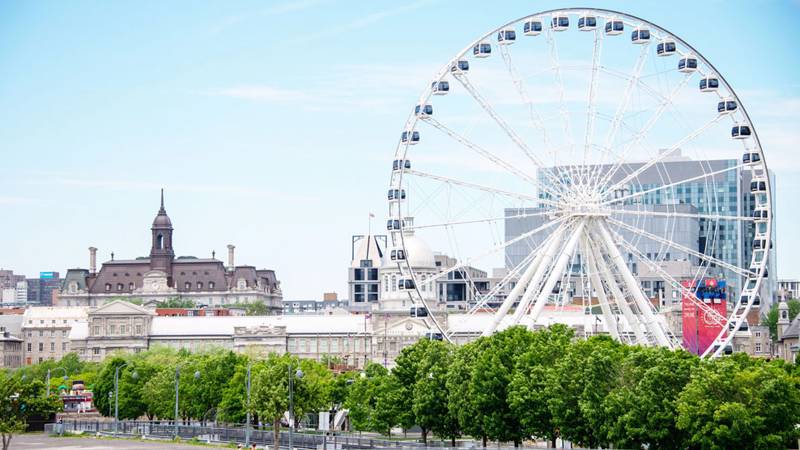 Grande roue